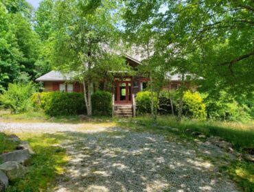 Log cabin with red door and shutters surrounded by lush green trees and foliage.