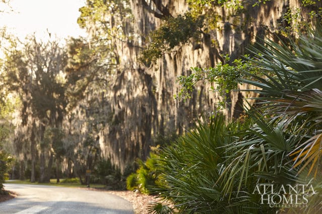 Asphalt road curves through a landscape lined with palm trees and live oak trees draped in Spanish moss, with a subtle Atlanta Homes & Lifestyles logo in the lower right corner.