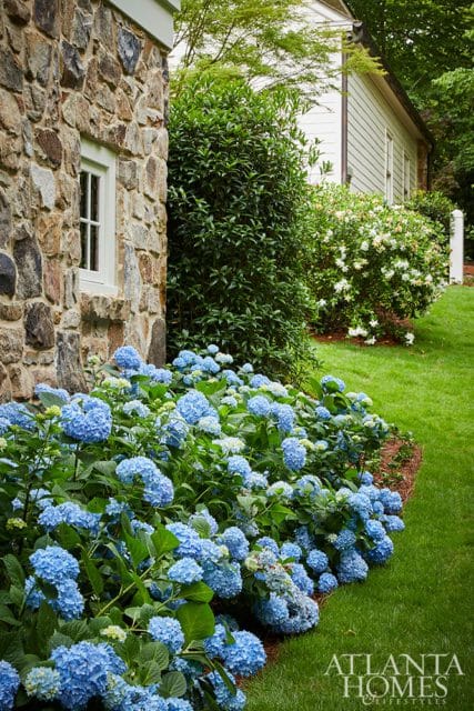 Stone house exterior with a lush garden of blue hydrangeas and green grass. Atlanta Homes & Lifestyles logo in the lower right corner.