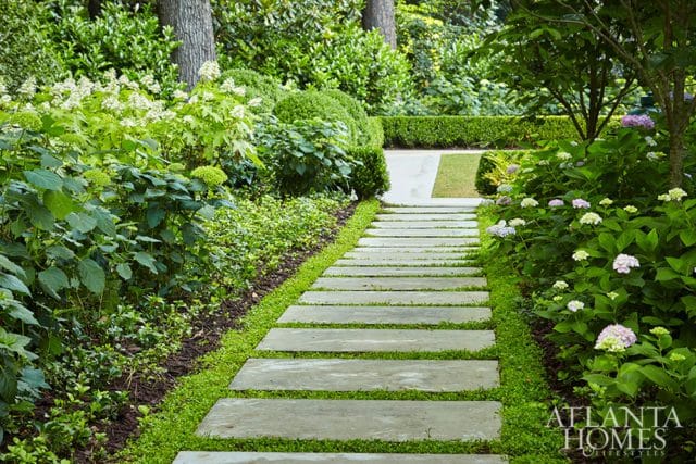 Stone pathway lined with lush green foliage and blooming hydrangeas leading to a mown lawn and manicured hedge.