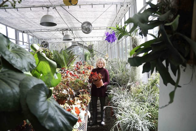 Woman holding a potted plant in a greenhouse filled with various plants, including ferns, begonias, and orchids.