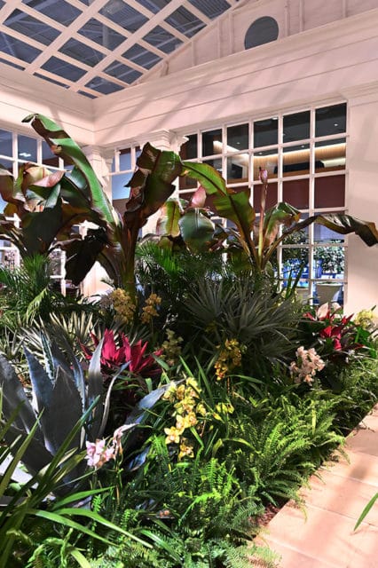 Indoor garden display with banana trees, agave, ferns, and orchids under a glass ceiling with white grid framework.