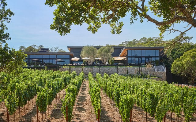 Modern building with large windows overlooking a vineyard and trees