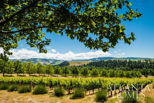 Vineyard with rolling hills and trees under a blue sky with clouds. Atlanta Homes logo in corner.