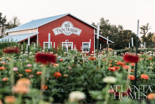Red barn with "Frog Hollow Farm" sign, surrounded by a field of colorful flowers.