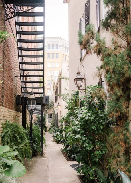 Narrow alley with brick wall, black fire escape, and lush greenery.