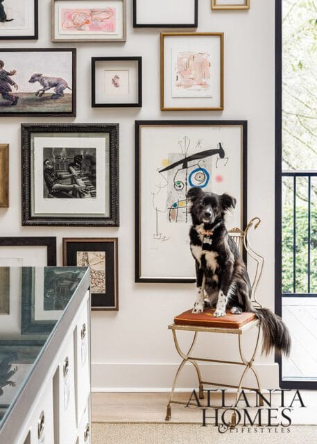 Dog sitting on a chair in a room with framed art on the wall.