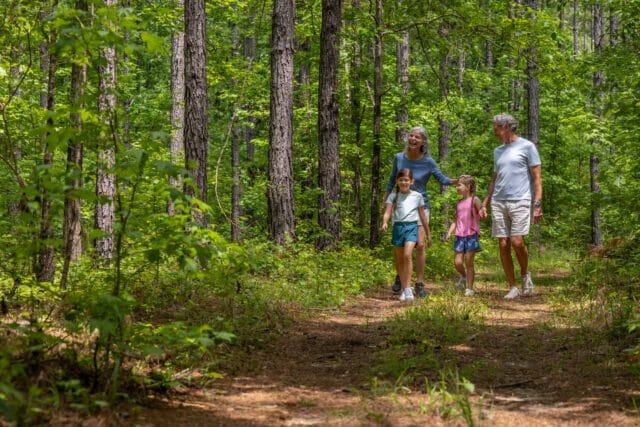 Family walking on a wooded path with tall trees and lush green foliage
