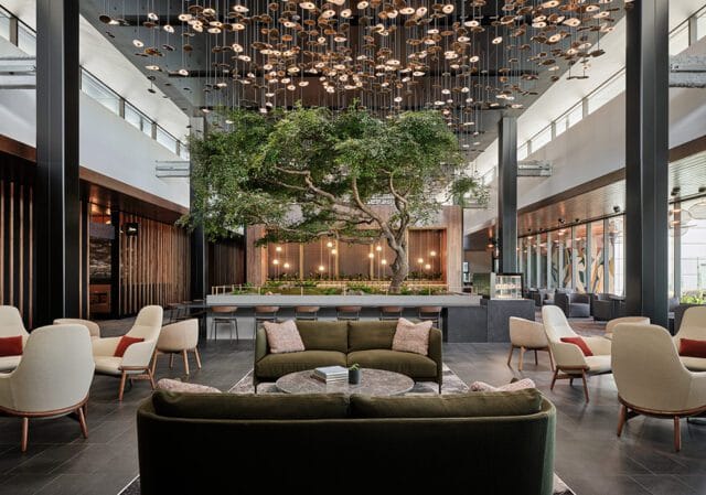 Modern lounge with a large indoor tree, contemporary seating in cream and olive green, and a unique overhead light fixture with numerous circular elements.