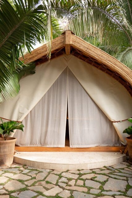 Glamping tent with bamboo roof structure and cream-colored canvas walls, surrounded by palm trees and tropical plants.