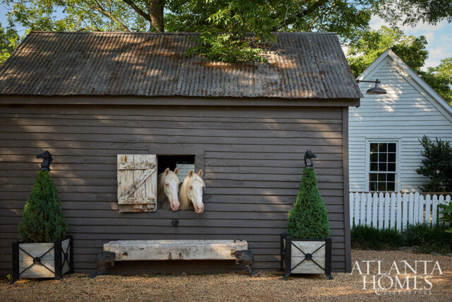 Two white horses peer from a barn window next to a stone trough.