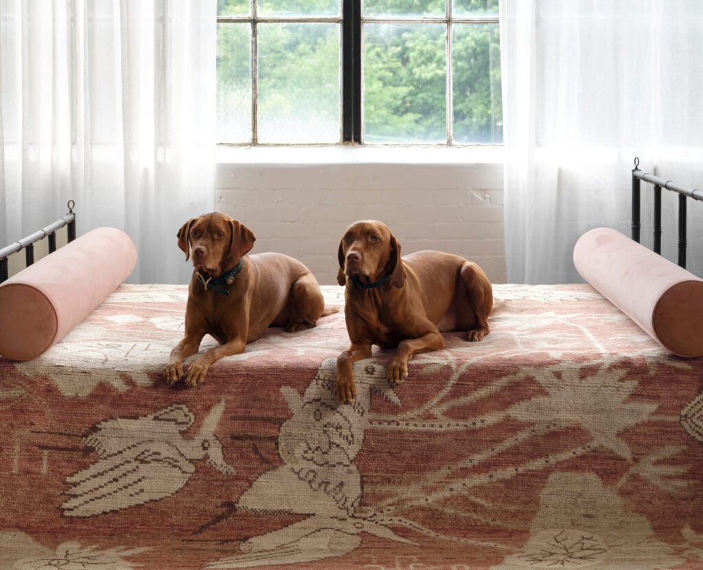Two Vizsla dogs lying on a bed with a patterned rug and pink bolster pillows.