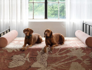 Two Vizsla dogs lying on a bed with a patterned rug and pink bolster pillows.