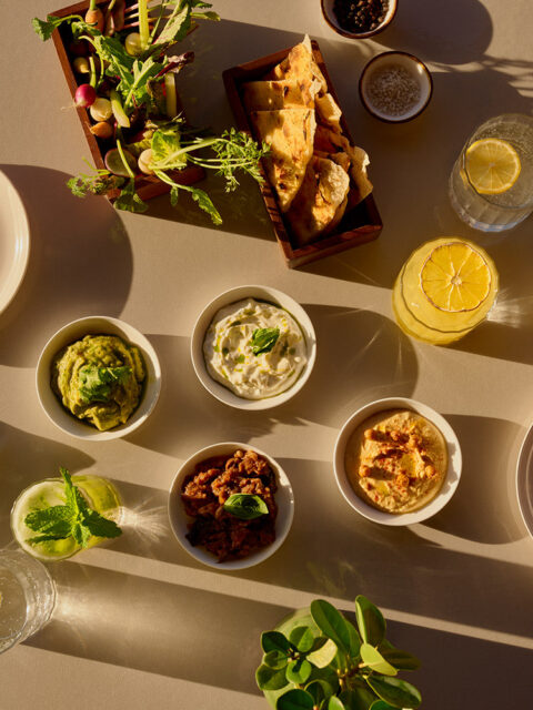 Assortment of dips and appetizers including hummus, guacamole, and pita bread