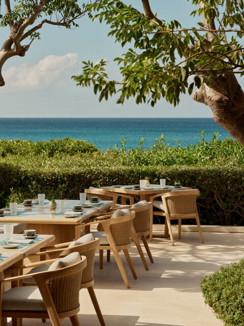 Outdoor dining tables and chairs with ocean view, framed by trees and greenery.