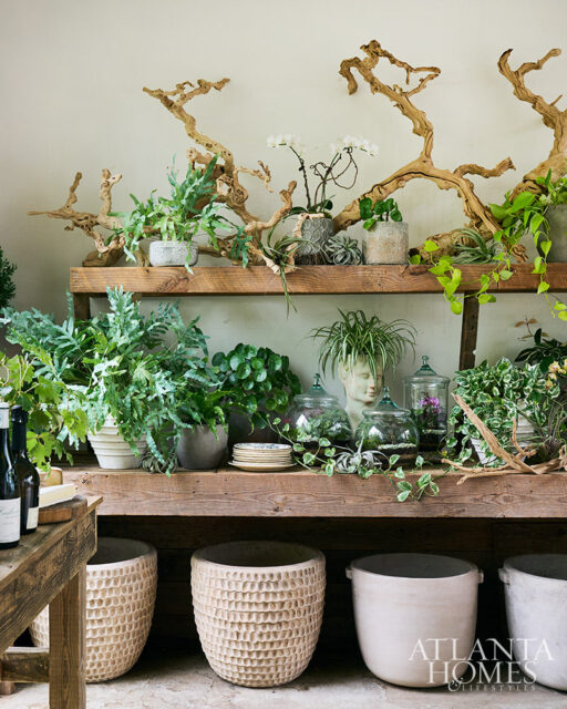 Wooden shelves with plants, driftwood, and terrariums. Large textured pots below.