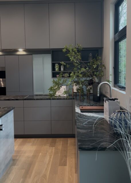 Gray kitchen with dark stone countertops, wood floors, and a large plant.