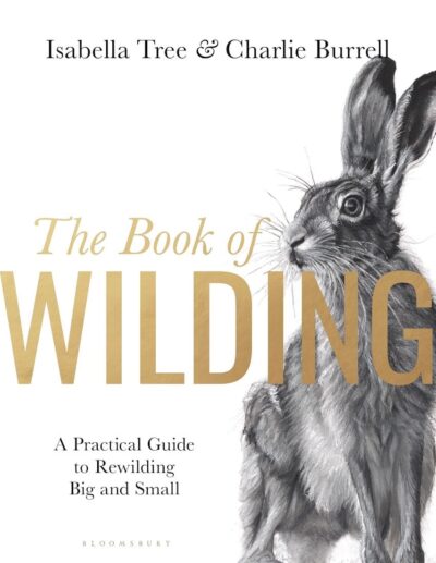 Book cover: ‘The Book of Wilding’ featuring a rabbit.